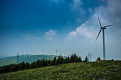 角斗士管理模拟游戏《Gladiators of Citadelum》Steam页面上线 支持简体中文